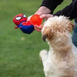 Disney - Pelota Y Peluche Para Perros Tipo Spiderman -Juguetería medias 1071